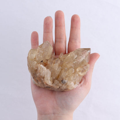 Congo Citrine Set of 6