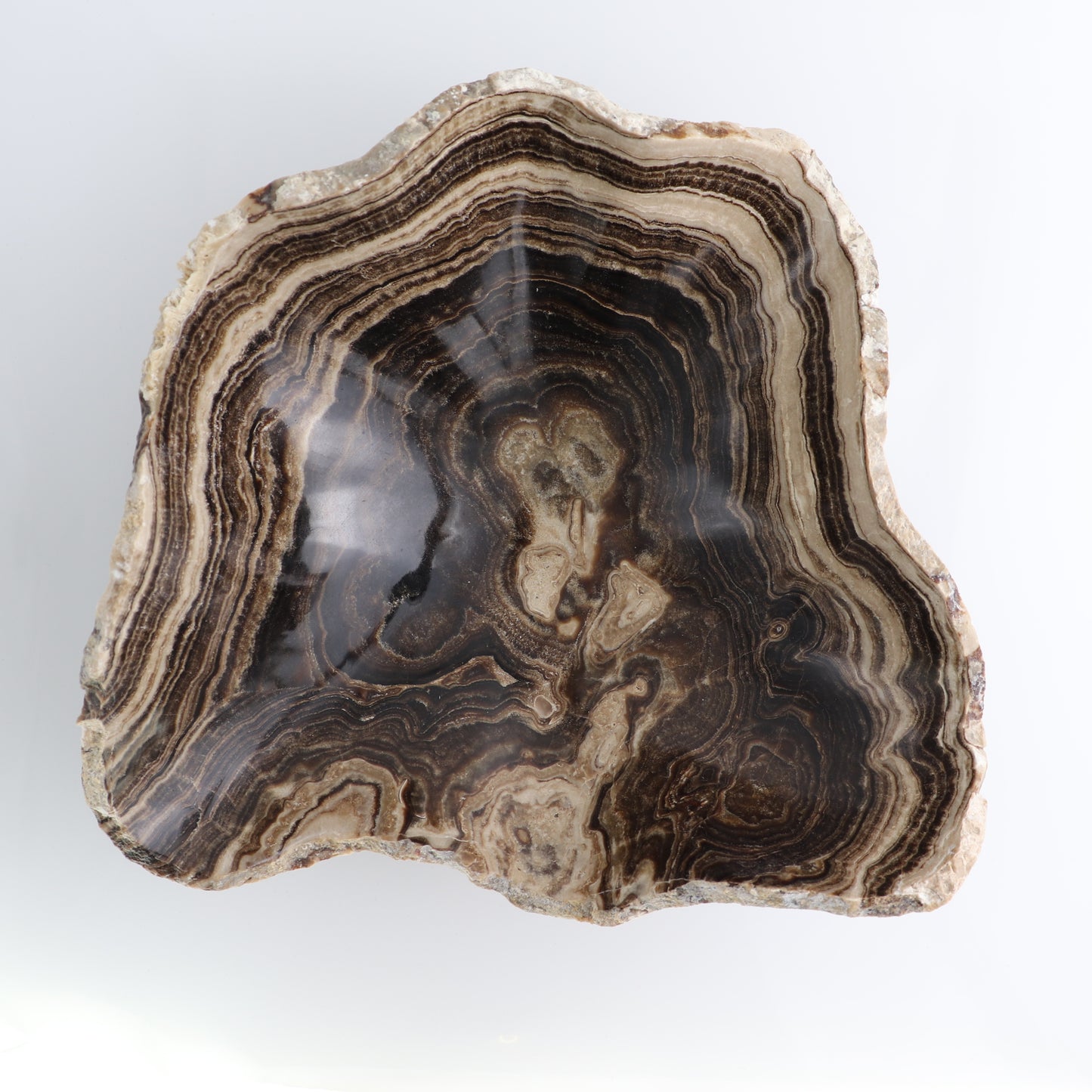 Mexican Onyx/Calcite Bowl 13"