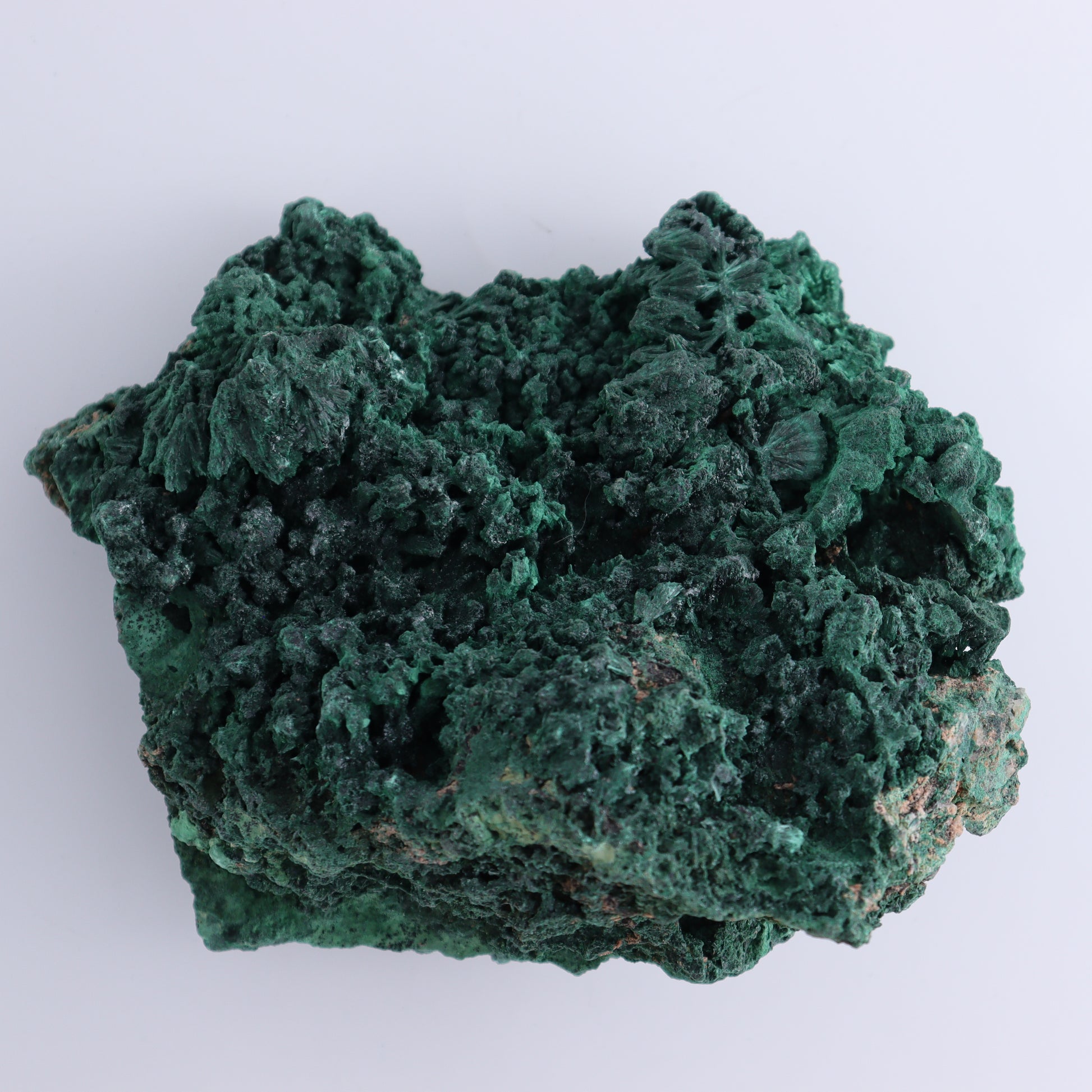 Malachite Freeform - Expert Wholesale and Supplier of Wholesale Crystals & Bulk Gemstones, ["Freeform","Malachite","South Africa"]
