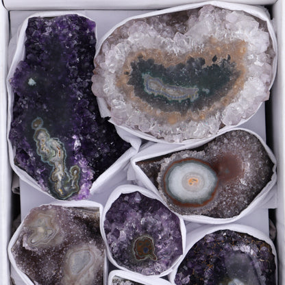 Uruguay Amethyst Clusters with "Eyes" Flat of 10 - Expert Wholesale and Supplier of Wholesale Crystals & Bulk Gemstones, []