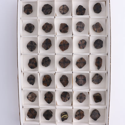 Chiastolite Flat of 35 - Expert Wholesale and Supplier of Wholesale Crystals & Bulk Gemstones, ["chiastolite","China","flat","Flats"]