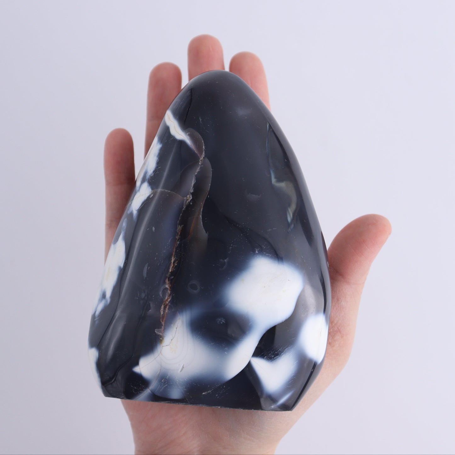 Orca Agate Freeform Set of 5 - Expert Wholesale and Supplier of Wholesale Crystals & Bulk Gemstones, ["Freeforms","Madagascar","Orca Agate"]