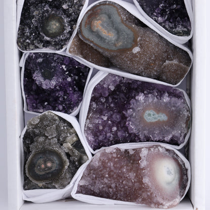 Uruguay Amethyst Clusters with "Eyes" Flat of 10 - Expert Wholesale and Supplier of Wholesale Crystals & Bulk Gemstones, ["Amethyst","Clusters","Eyes Amethyst","Uruguay"]