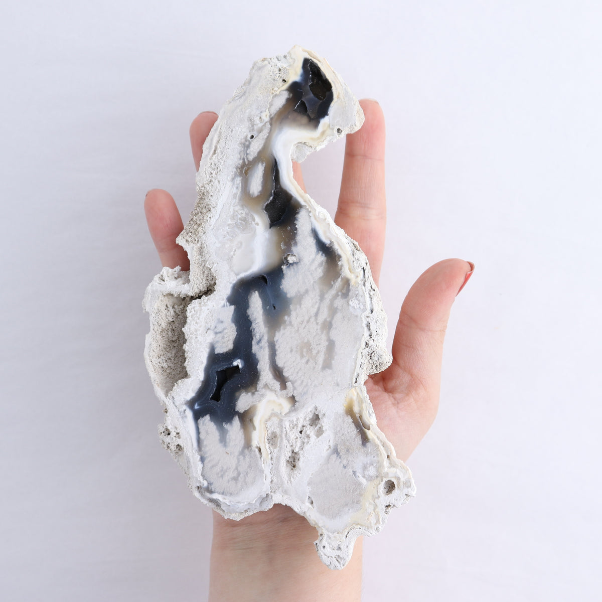 Agatized Coral Set of 5