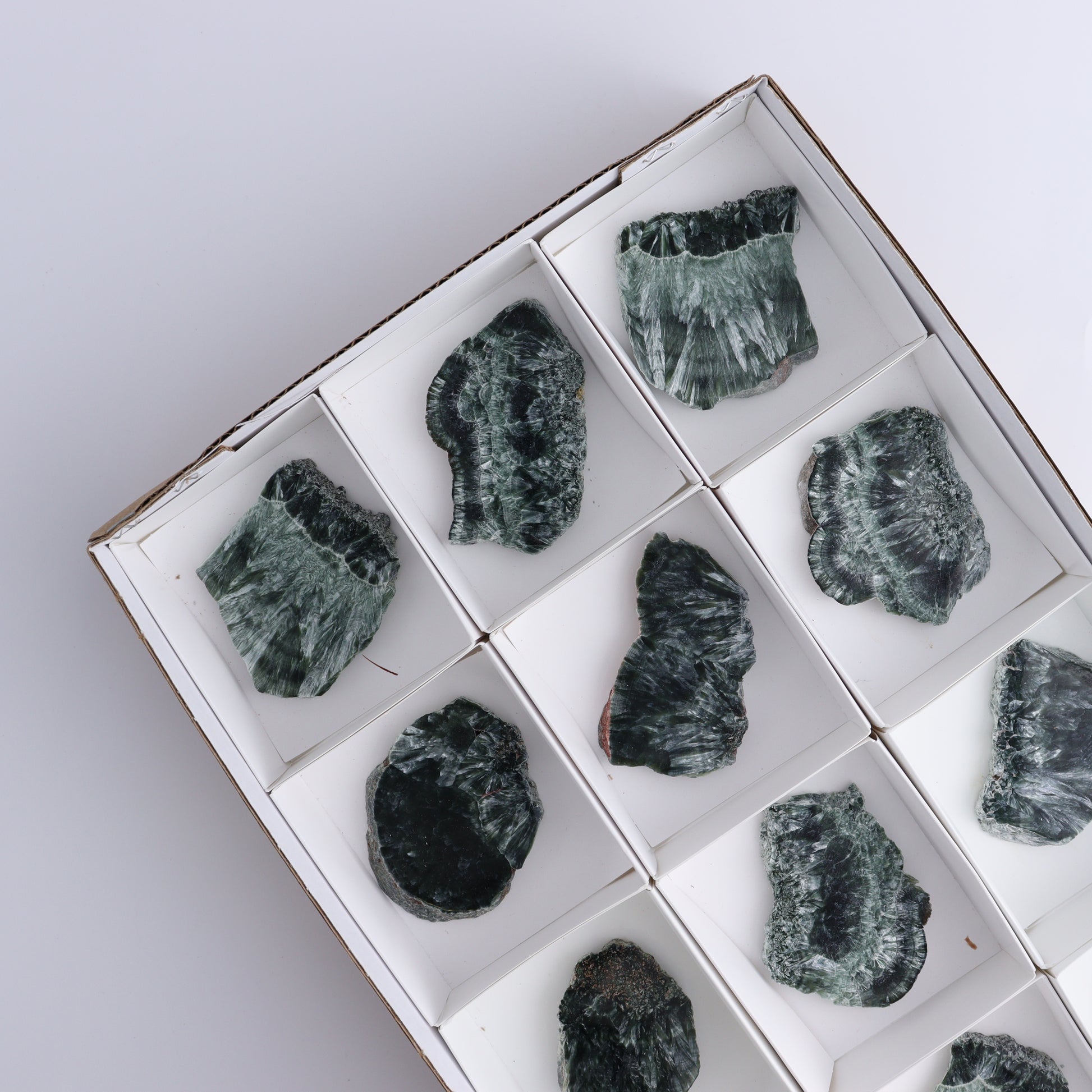 Seraphinite Slices Set of 12 - Expert Wholesale and Supplier of Wholesale Crystals & Bulk Gemstones, ["Russia","Seraphinite","Slices and Slabs"]