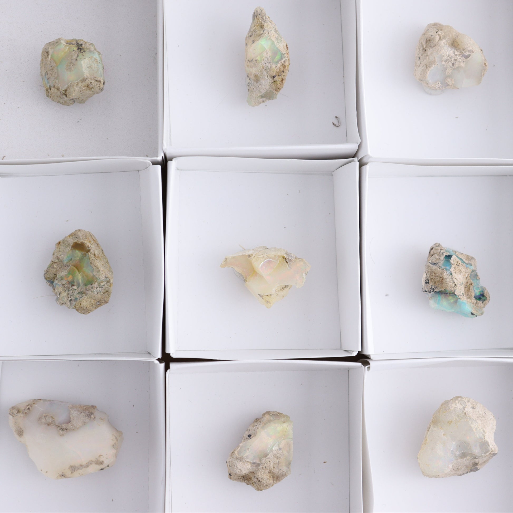 Ethiopian Opal Set of 12 - Expert Wholesale and Supplier of Wholesale Crystals & Bulk Gemstones, ["Ethiopia","ethiopian opal","Opal"]