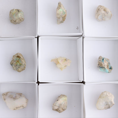 Ethiopian Opal Set of 12 - Expert Wholesale and Supplier of Wholesale Crystals & Bulk Gemstones, ["Ethiopia","ethiopian opal","Opal"]