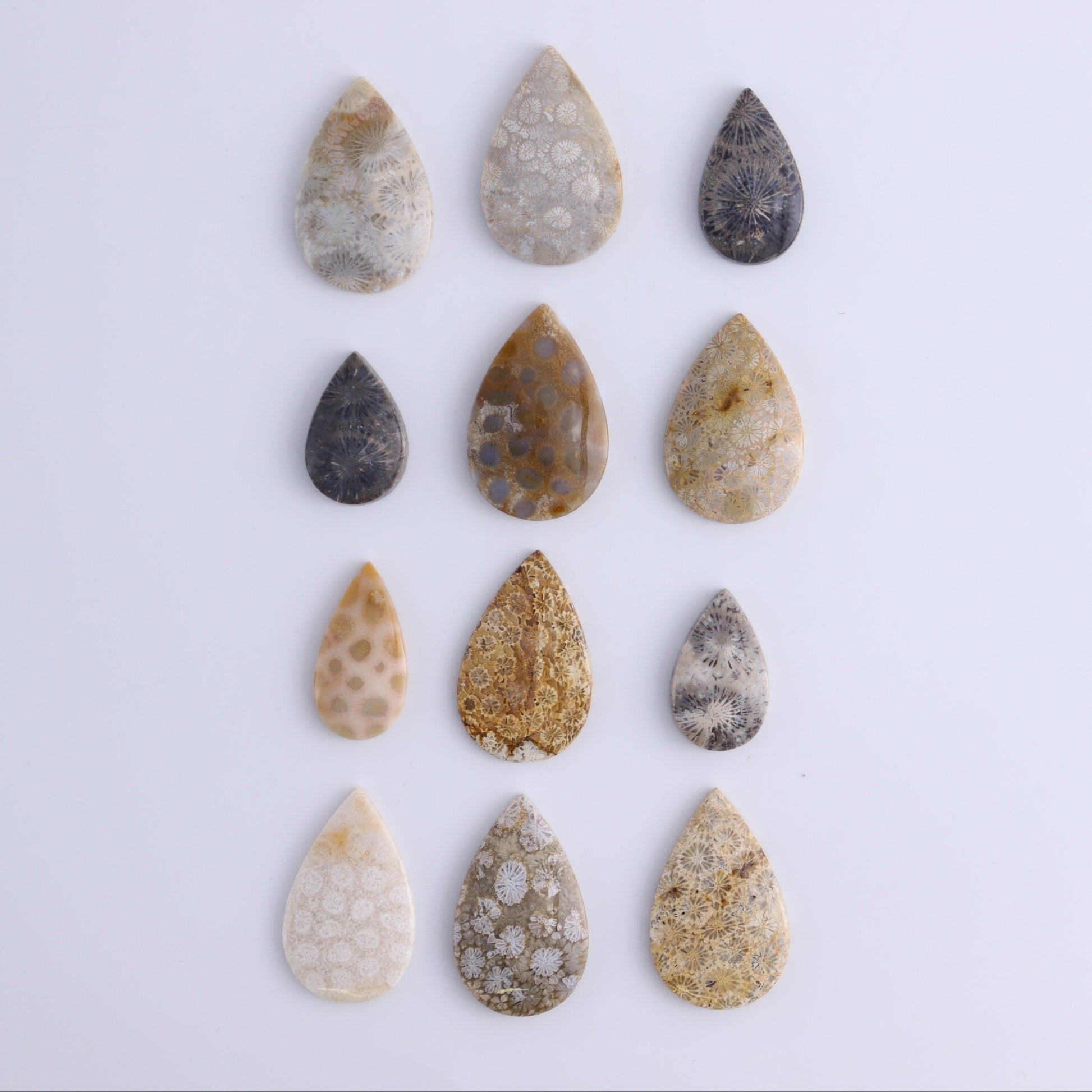 One Fossil Coral Teardrop Cab - Expert Wholesale and Supplier of Wholesale Crystals & Bulk Gemstones, ["Cabs","fossil coral","Teardrop"]