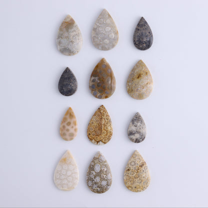 One Fossil Coral Teardrop Cab - Expert Wholesale and Supplier of Wholesale Crystals & Bulk Gemstones, ["Cabs","fossil coral","Teardrop"]
