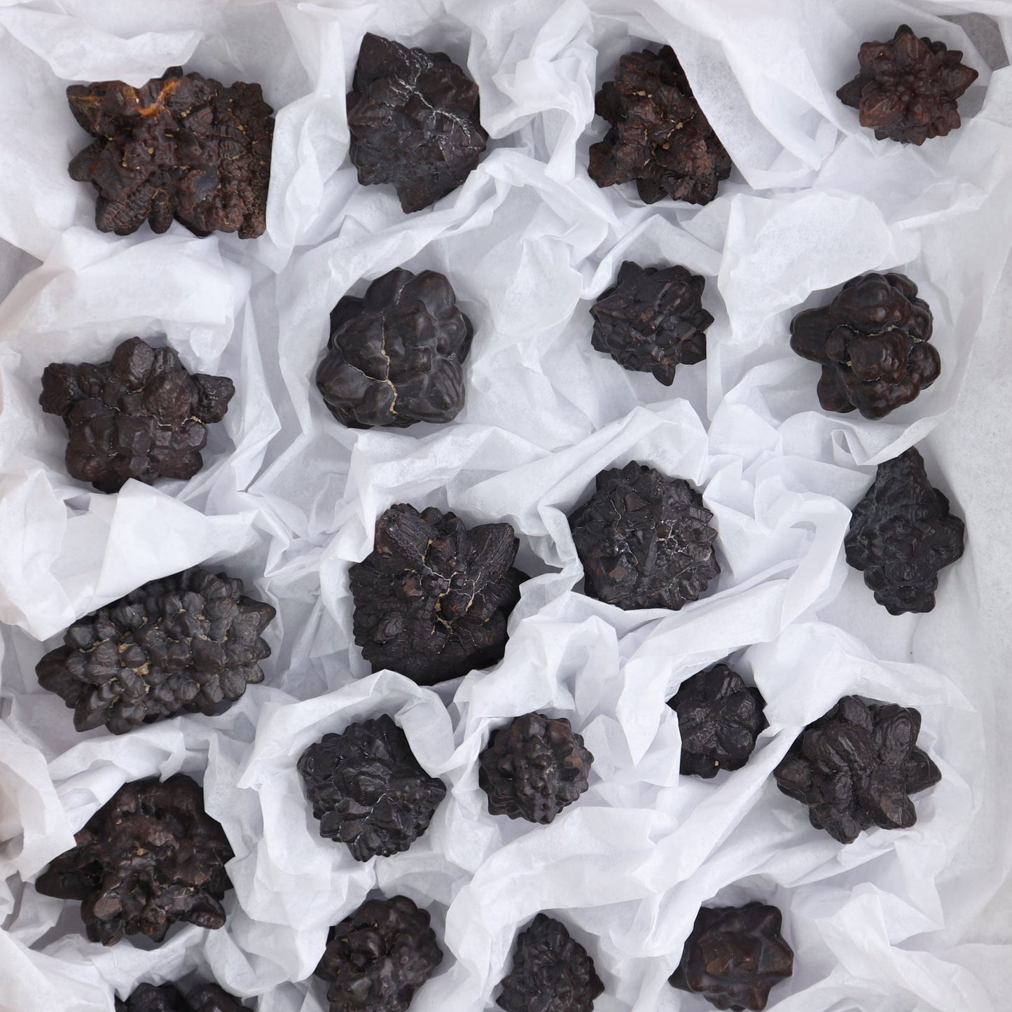 Egyptian Prophecy Stones Flat of 25