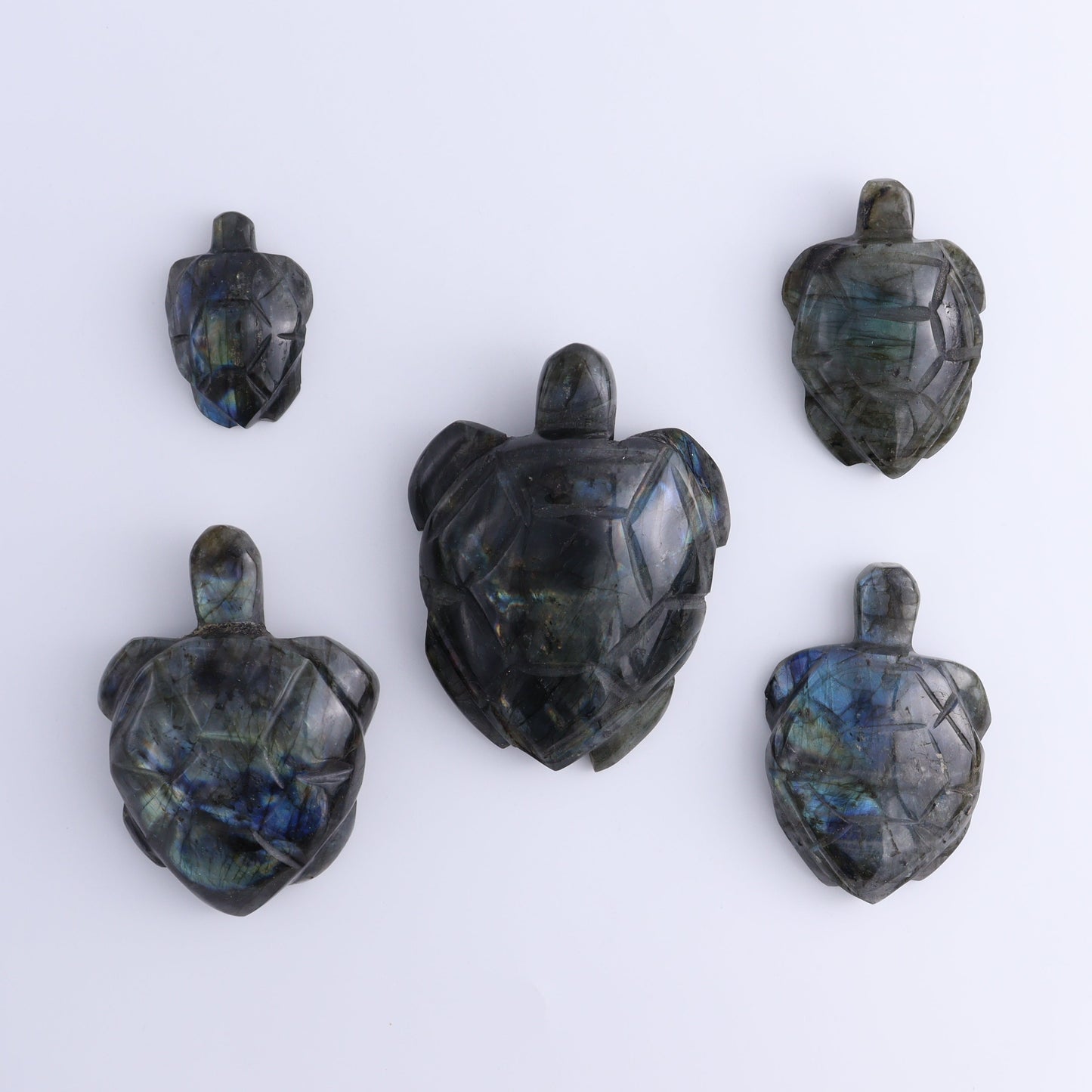 Labradorite Turtles Set of 5