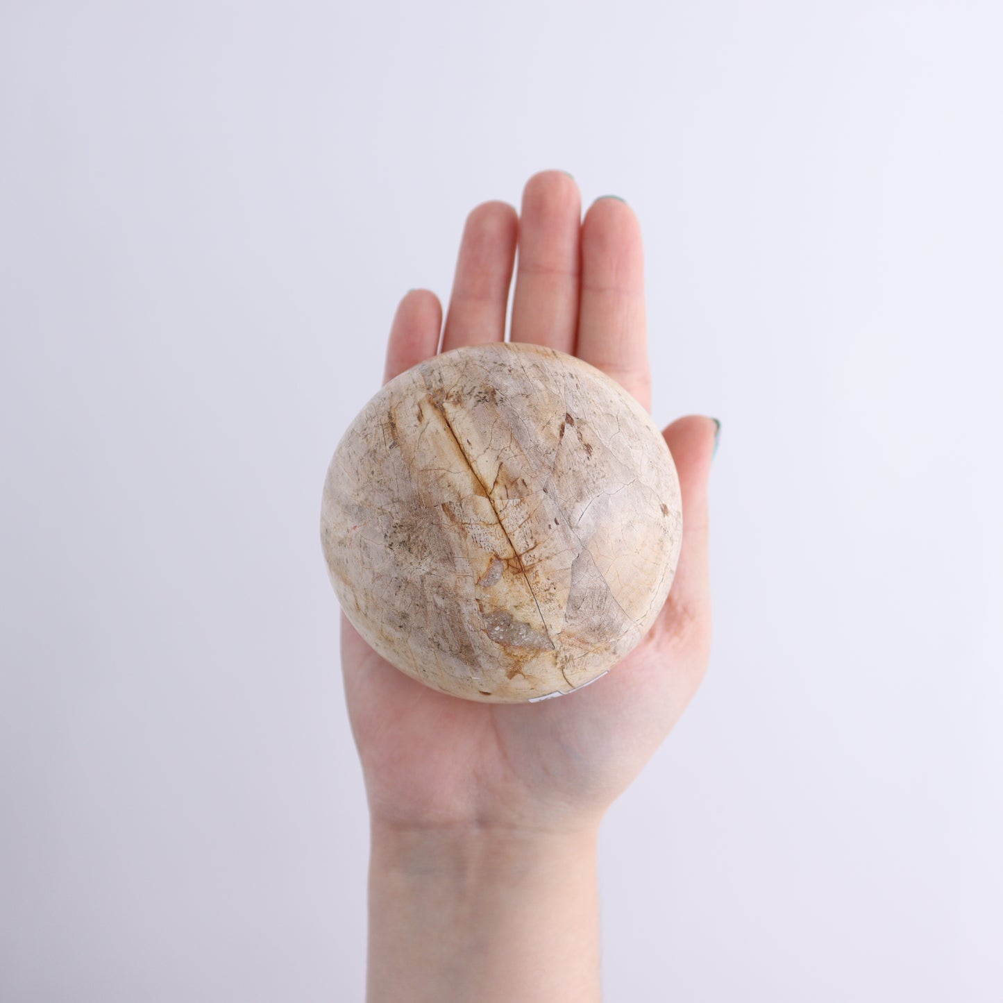 Petrified Wood Spheres Set of 4 - Expert Wholesale and Supplier of Wholesale Crystals & Bulk Gemstones, ["Indonesia","Petrified Wood","Spheres"]