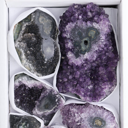 Uruguay Amethyst Clusters with "Eyes" Flat of 8 - Expert Wholesale and Supplier of Wholesale Crystals & Bulk Gemstones, ["Amethyst","Amethyst Eyes","Clusters","Uruguay"]