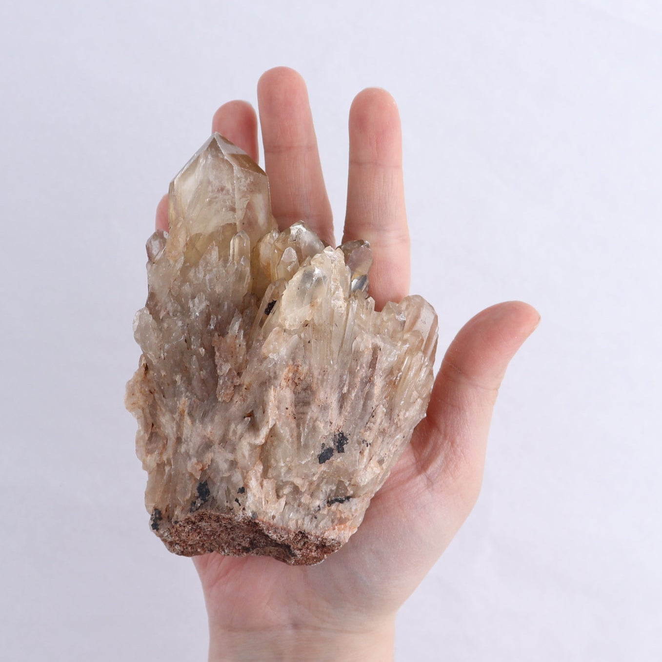 Congo Citrine Set of 6