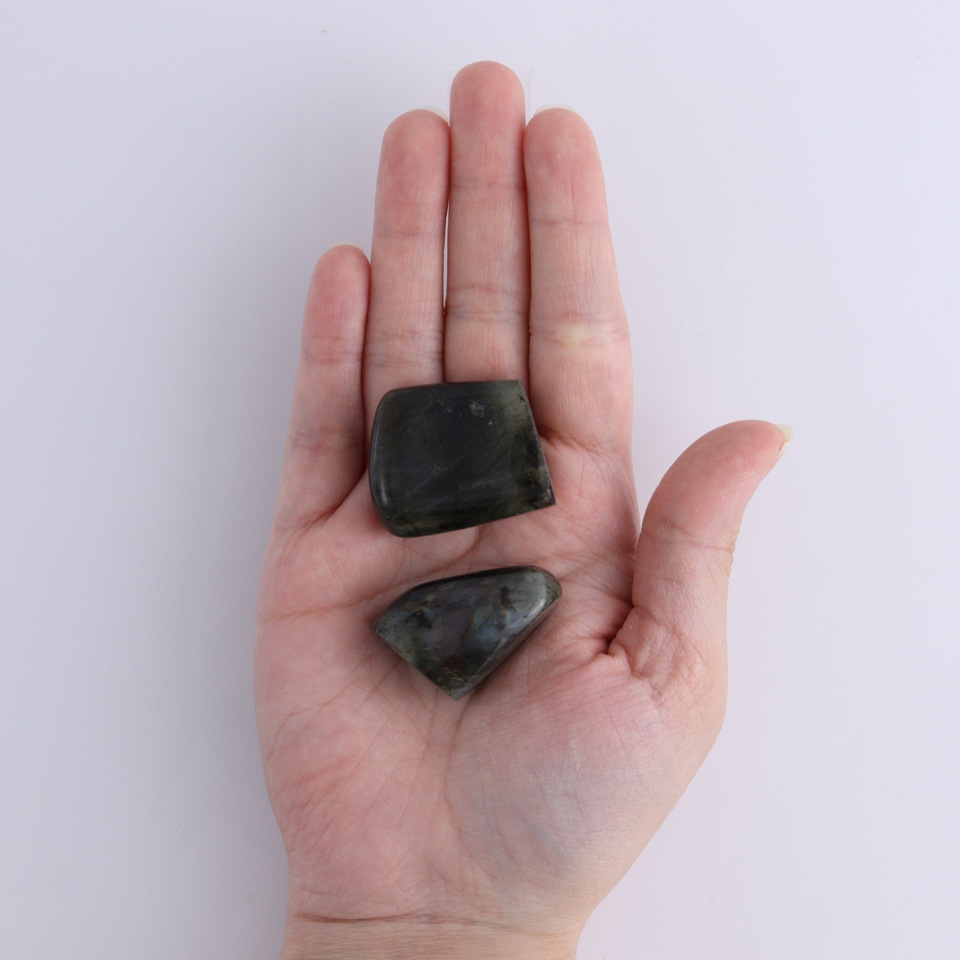 Labradorite Freeform Set of 19 - Expert Wholesale and Supplier of Wholesale Crystals & Bulk Gemstones, ["Freeforms","Labradorite","Madagascar"]