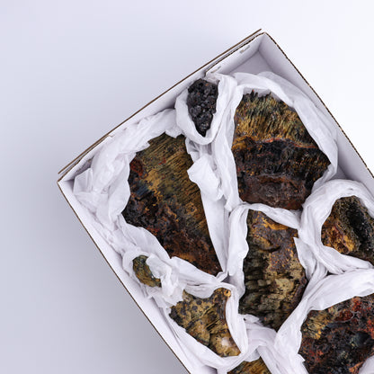 Geothite Flat - Expert Wholesale and Supplier of Wholesale Crystals & Bulk Gemstones, ["flat","Flats","Geothite"]