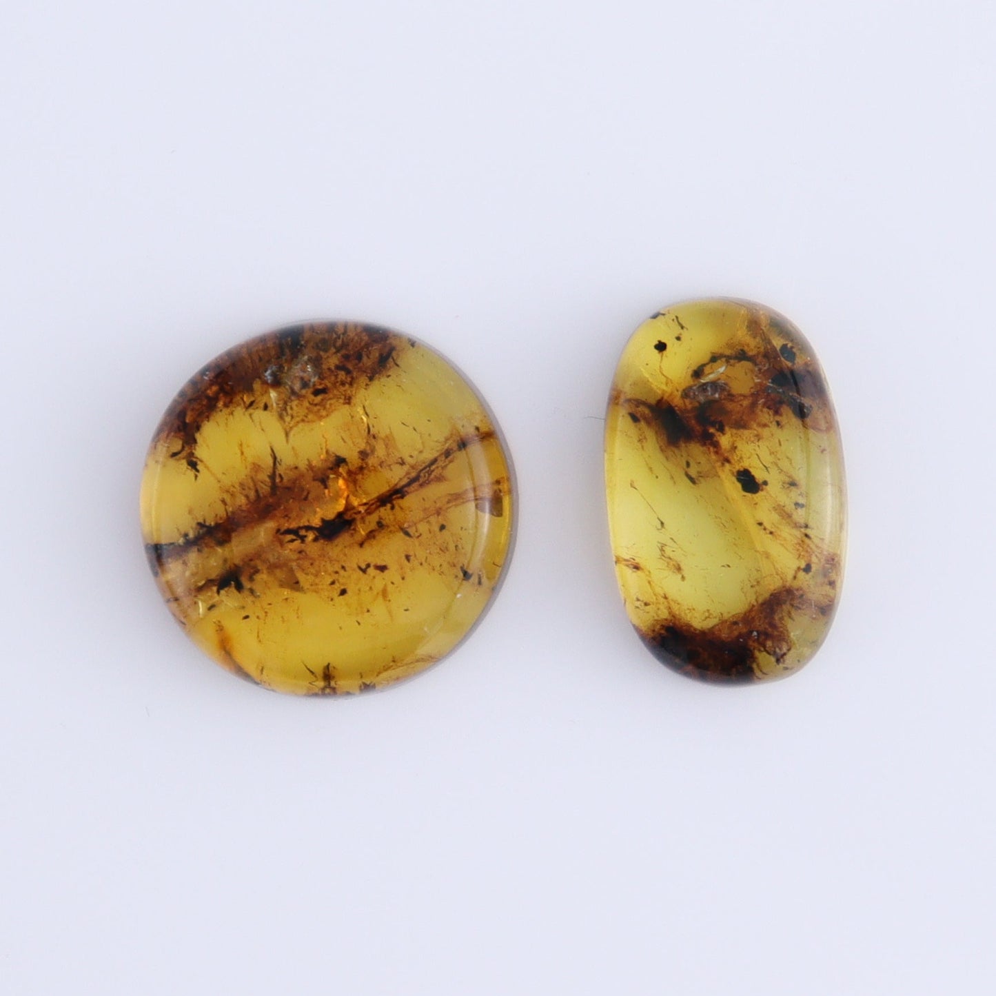 Chiapas Mexico Amber Cabs Set of 8 - Expert Wholesale and Supplier of Wholesale Crystals & Bulk Gemstones, ["Amber","Cabs","Chiapas Amber","Mexico"]