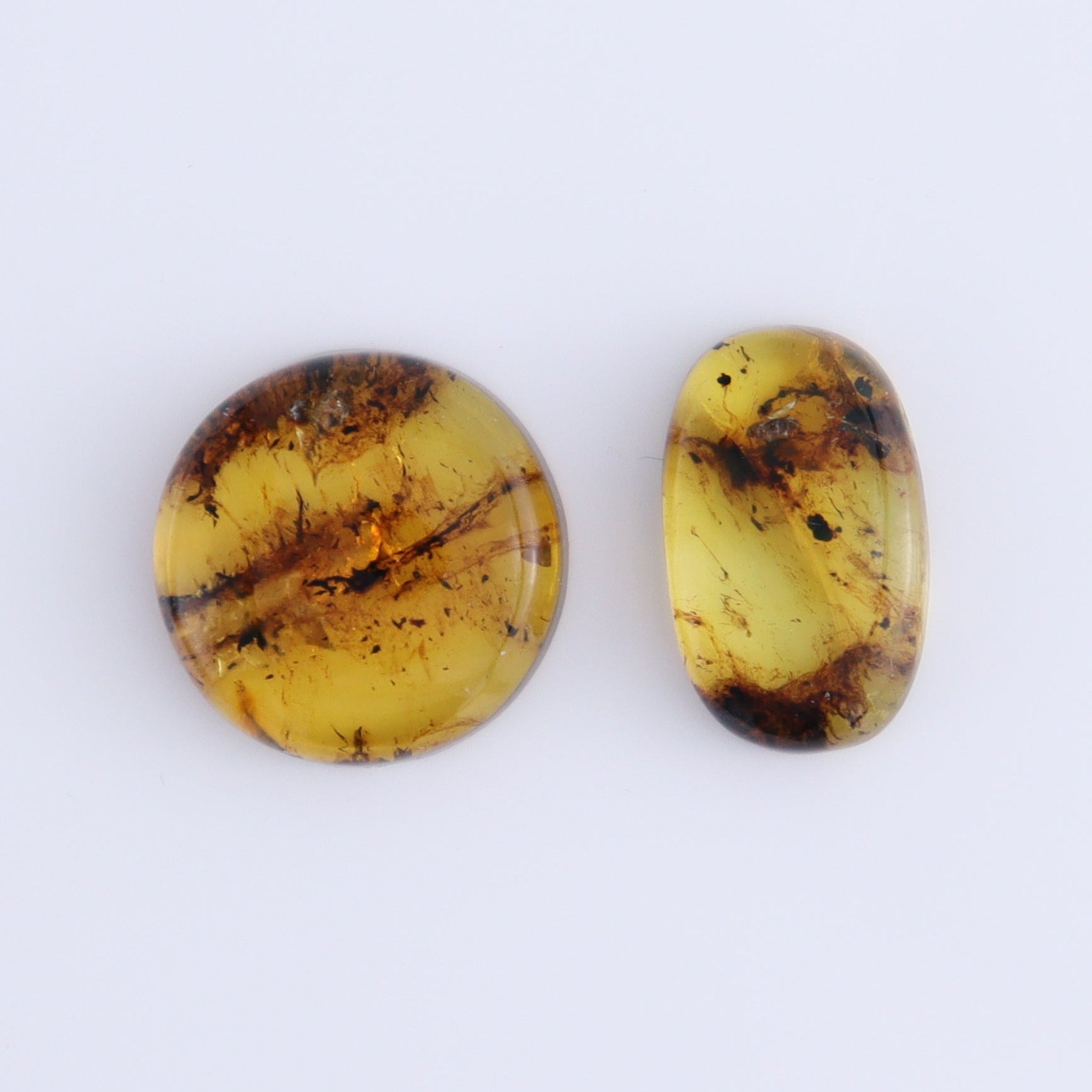 Chiapas Mexico Amber Cabs Set of 8 - Expert Wholesale and Supplier of Wholesale Crystals & Bulk Gemstones, ["Amber","Cabs","Chiapas Amber","Mexico"]