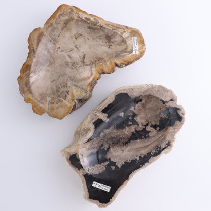 Petrified Wood Bowls Set of 2 - Expert Wholesale and Supplier of Wholesale Crystals & Bulk Gemstones, ["Bowls","Indonesia","Petrified Wood"]