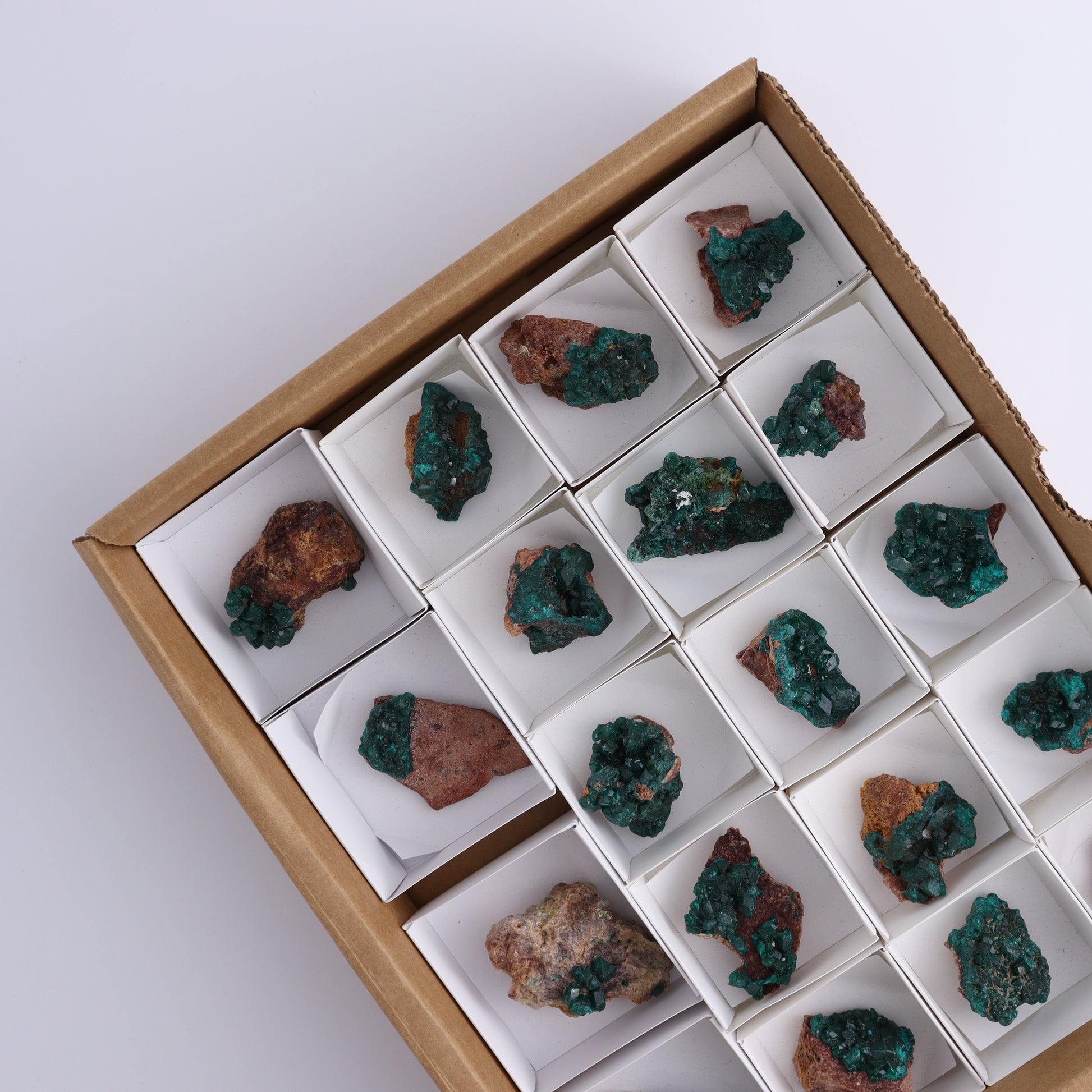 Dioptase Set of 19 - Expert Wholesale and Supplier of Wholesale Crystals & Bulk Gemstones, ["dioptase","Freeform","Freeforms"]
