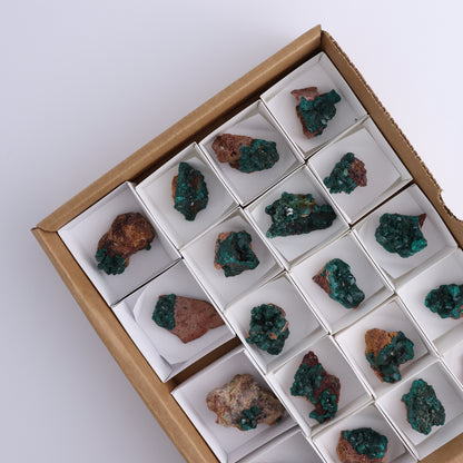 Dioptase Set of 19 - Expert Wholesale and Supplier of Wholesale Crystals & Bulk Gemstones, ["dioptase","Freeform","Freeforms"]