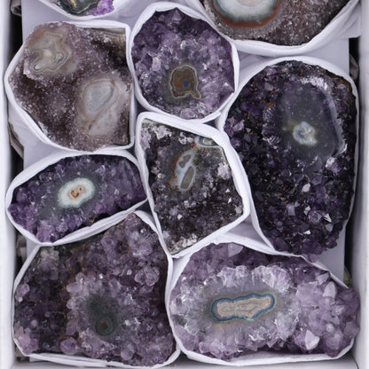 Uruguay Amethyst Clusters with "Eyes" Flat of 10 - Expert Wholesale and Supplier of Wholesale Crystals & Bulk Gemstones, []