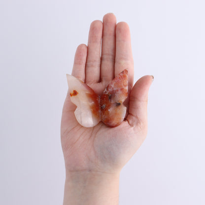 One Carnelian Butterfly - Expert Wholesale and Supplier of Wholesale Crystals & Bulk Gemstones, ["Butterflies","Butterfly","carnelian"]