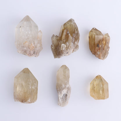 Congo Citrine Set of 12 - Expert Wholesale and Supplier of Wholesale Crystals & Bulk Gemstones, ["Citrine","Congo","Rough","Roughs"]