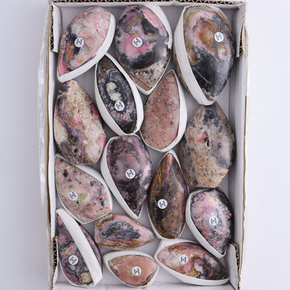 Pink Opal Flames Set of 15 - Expert Wholesale and Supplier of Wholesale Crystals & Bulk Gemstones, ["flames","Peru","Pink Opal"]