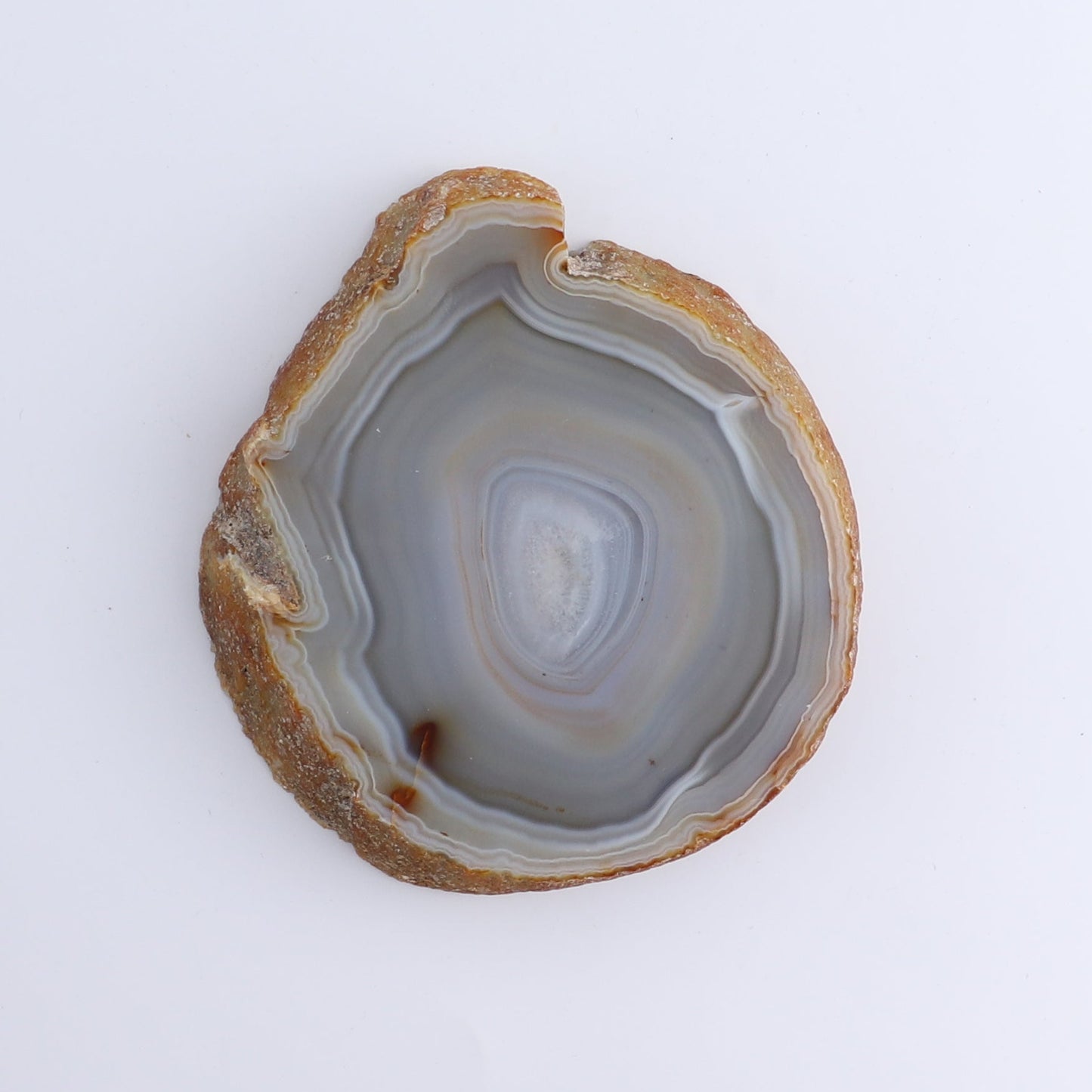 Agate Slices Set of 4 - Expert Wholesale and Supplier of Wholesale Crystals & Bulk Gemstones, ["Agate","Brazil","Slices and Slabs"]