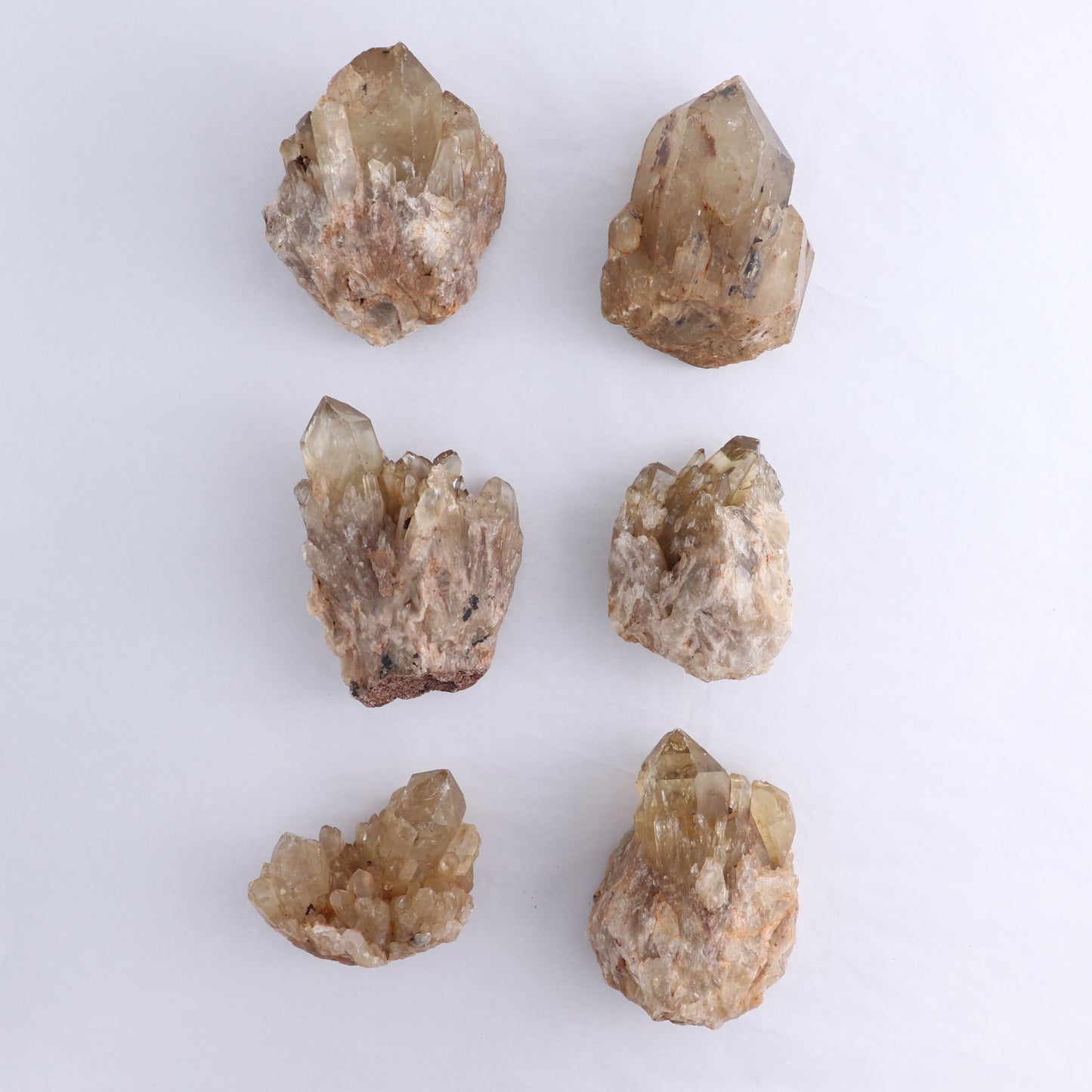 Congo Citrine Set of 6