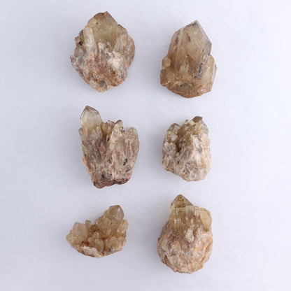 Congo Citrine Set of 6