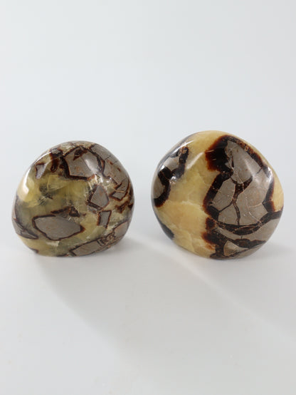 Septarian Freeforms Set of 6 - Expert Wholesale and Supplier of Wholesale Crystals & Bulk Gemstones, []
