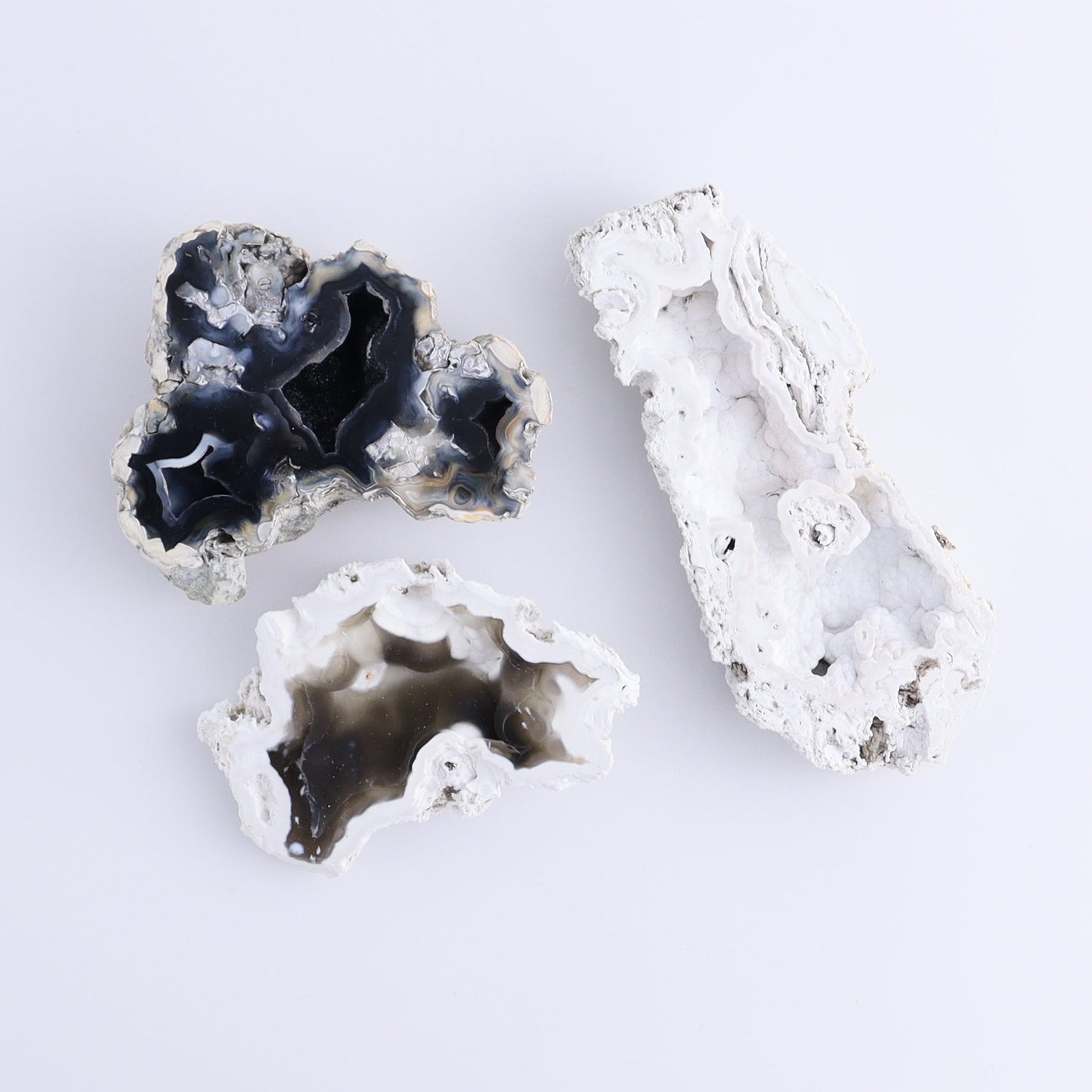 Agatized Coral Flat - Expert Wholesale and Supplier of Wholesale Crystals & Bulk Gemstones, ["Agate","Agatized Coral","Coral","United States"]