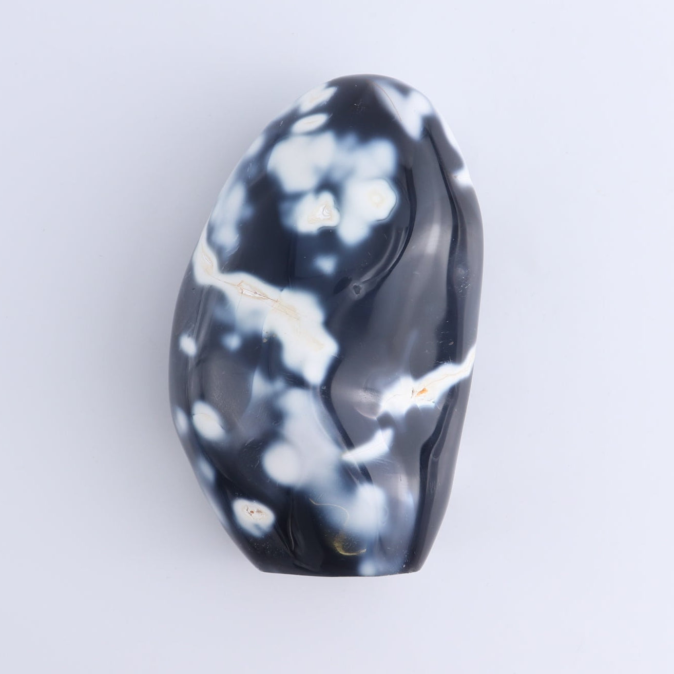 Orca Agate Freeform Set of 4