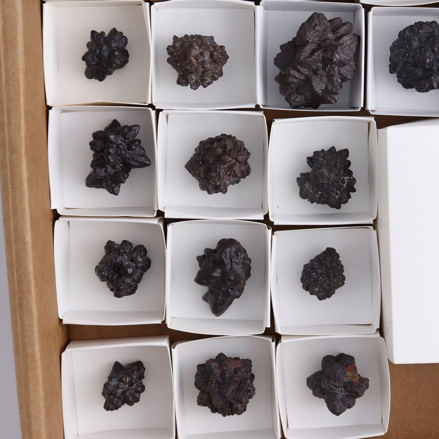 Egyptian Prophecy Stones Flat of 21