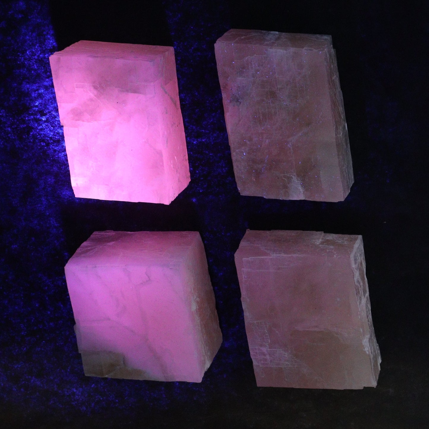 Pink Optical Calcite (Fluorescent) Set of 12 - Expert Wholesale and Supplier of Wholesale Crystals & Bulk Gemstones, ["Calcite","Mexico","Optical Calcite"]