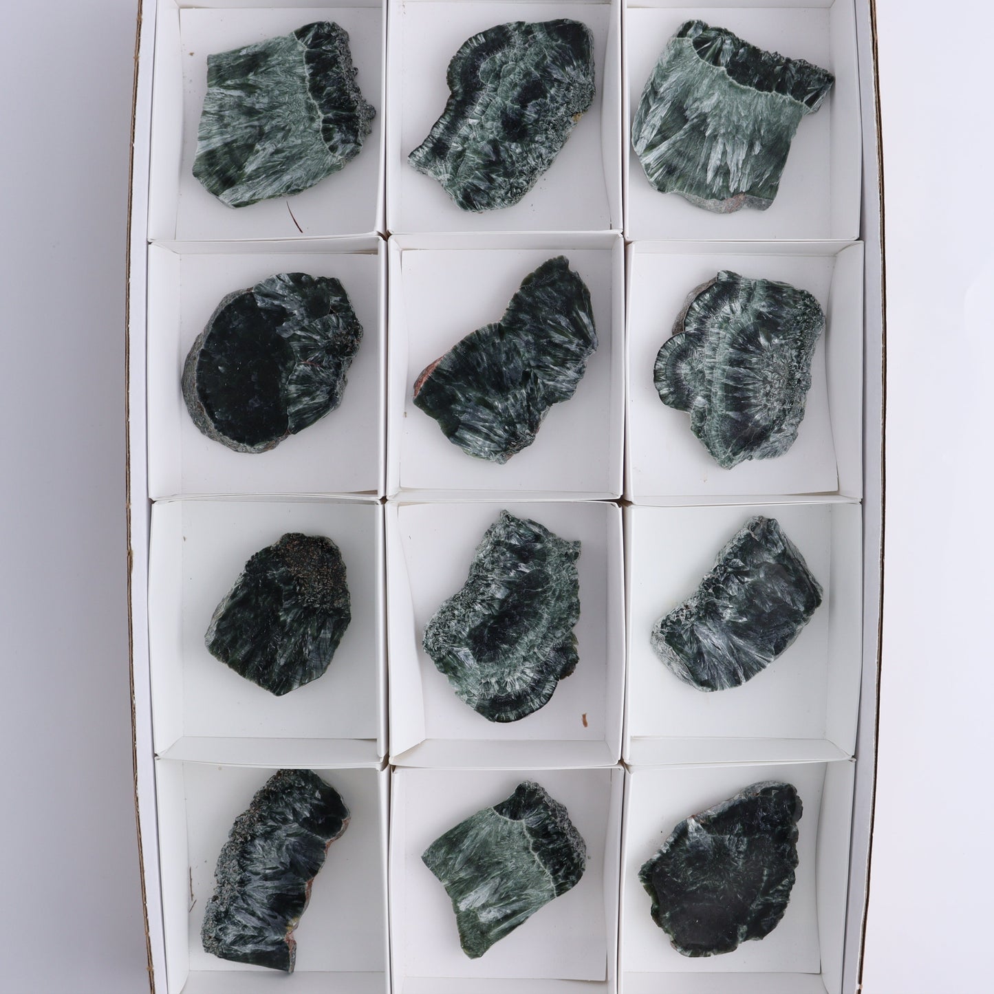 Seraphinite Slices Set of 12 - Expert Wholesale and Supplier of Wholesale Crystals & Bulk Gemstones, ["Russia","Seraphinite","Slices and Slabs"]