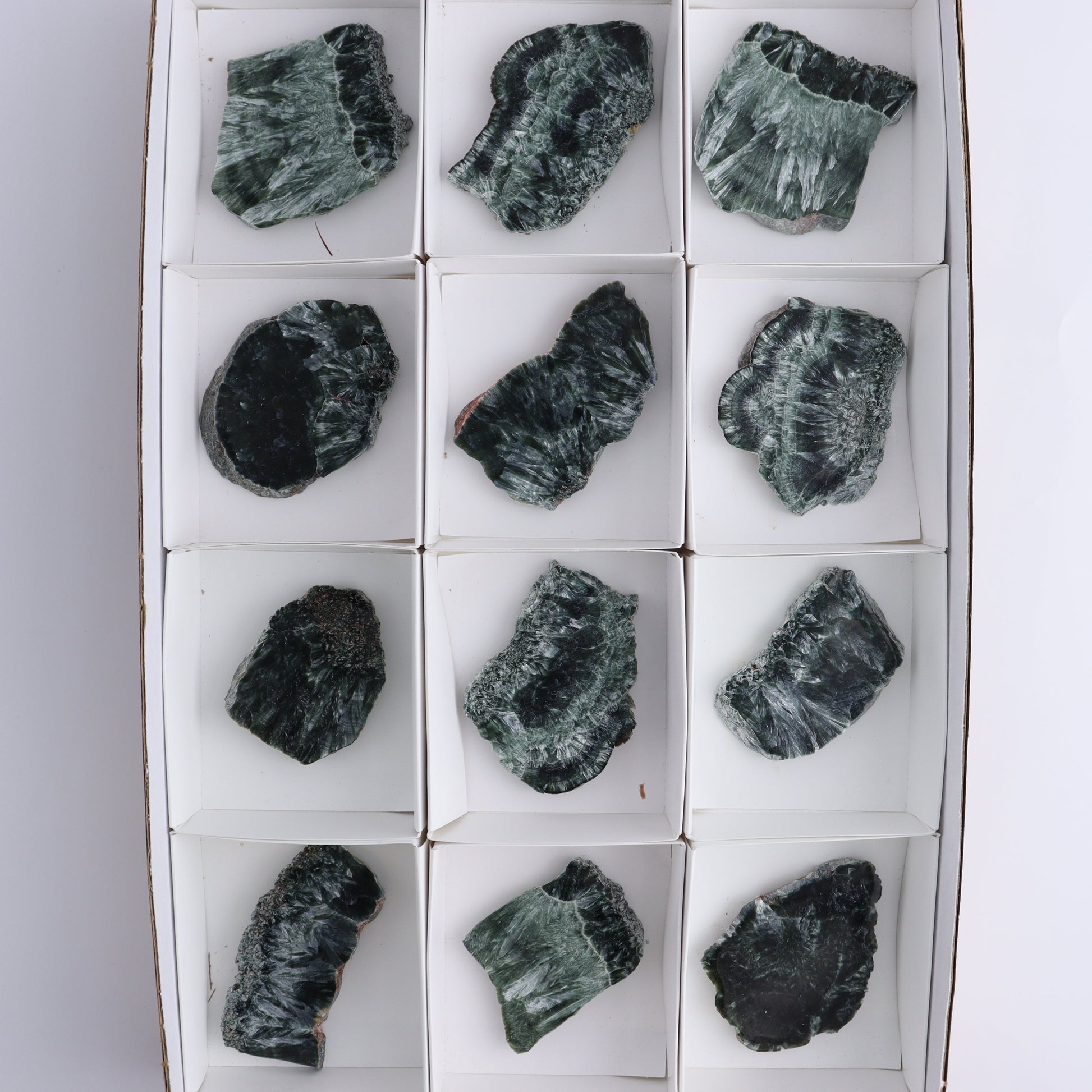 Seraphinite Slices Set of 12 - Expert Wholesale and Supplier of Wholesale Crystals & Bulk Gemstones, ["Russia","Seraphinite","Slices and Slabs"]