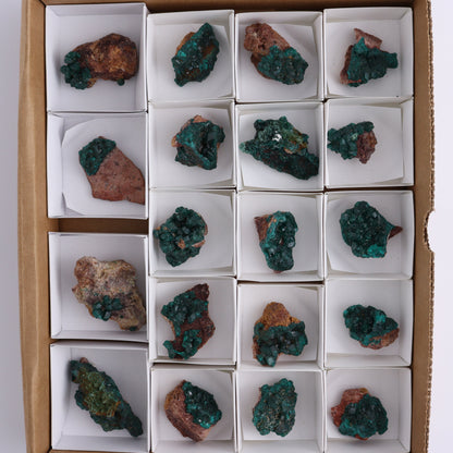 Dioptase Set of 19 - Expert Wholesale and Supplier of Wholesale Crystals & Bulk Gemstones, ["dioptase","Freeform","Freeforms"]