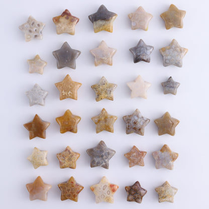One Fossil Coral Star - Expert Wholesale and Supplier of Wholesale Crystals & Bulk Gemstones, ["fossil coral","Indonesia","stars"]