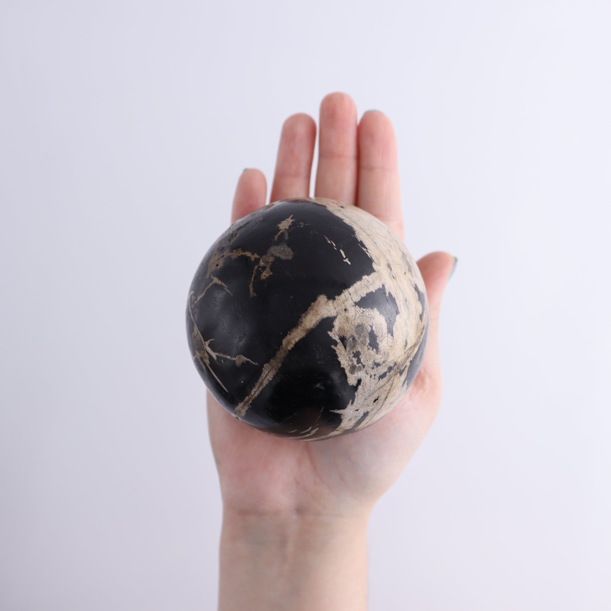 Petrified Wood Spheres Set of 4 - Expert Wholesale and Supplier of Wholesale Crystals & Bulk Gemstones, ["Indonesia","Petrified Wood","Spheres"]
