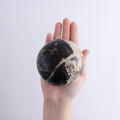Petrified Wood Spheres Set of 4 - Expert Wholesale and Supplier of Wholesale Crystals & Bulk Gemstones, ["Indonesia","Petrified Wood","Spheres"]