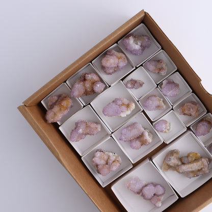 Cactus Quartz Set of 18 - Expert Wholesale and Supplier of Wholesale Crystals & Bulk Gemstones, ["cactus quartz","Quartz","South Africa"]