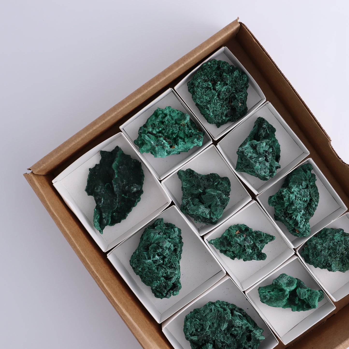 Malachite Freeforms Set of 11 - Expert Wholesale and Supplier of Wholesale Crystals & Bulk Gemstones, ["Freeform","Malachite","South Africa"]