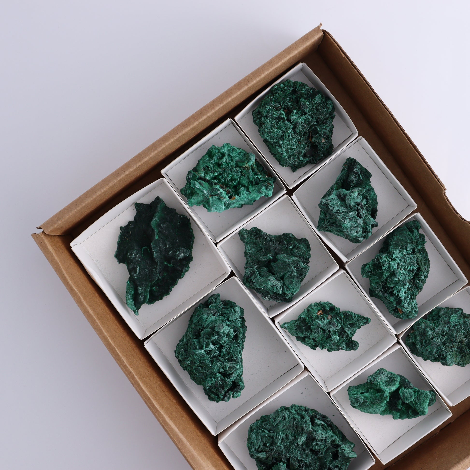 Malachite Freeforms Set of 11 - Expert Wholesale and Supplier of Wholesale Crystals & Bulk Gemstones, ["Freeform","Malachite","South Africa"]