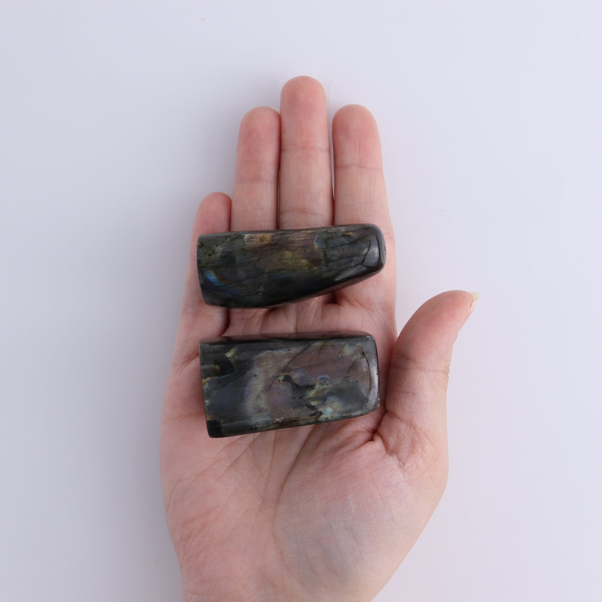 Labradorite Freeform Set of 19 - Expert Wholesale and Supplier of Wholesale Crystals & Bulk Gemstones, ["Freeforms","Labradorite","Madagascar"]