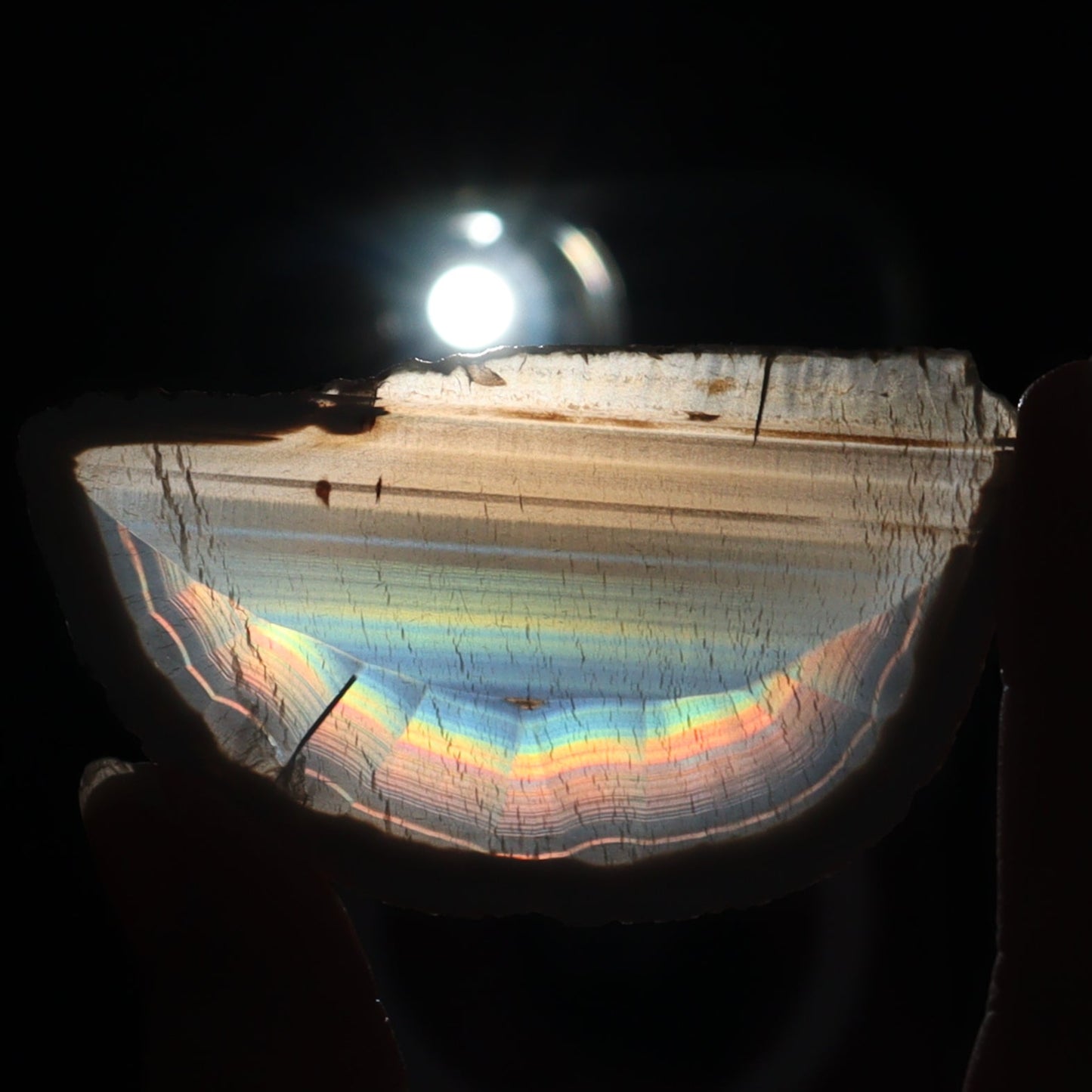Iris Agate Slices Set of 9 - Expert Wholesale and Supplier of Wholesale Crystals & Bulk Gemstones, ["Agate","Iris Agate","Slices and Slabs"]
