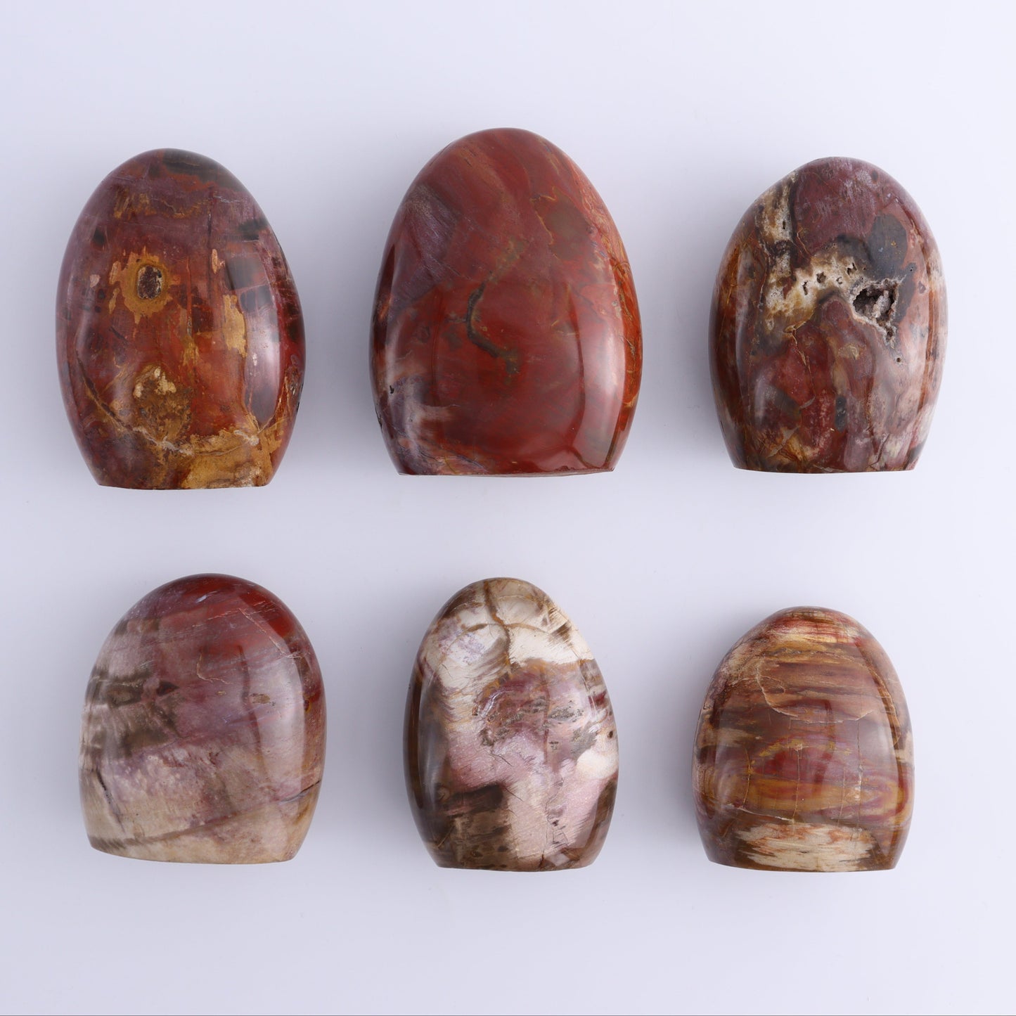Petrified Wood Freeforms Set of 6 - Expert Wholesale and Supplier of Wholesale Crystals & Bulk Gemstones, ["Freeform","Freeforms","Madagascar","Petrified Wood"]