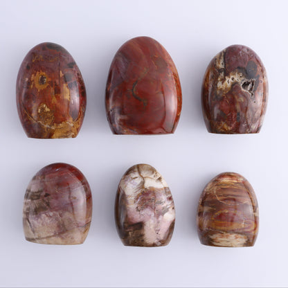 Petrified Wood Freeforms Set of 6 - Expert Wholesale and Supplier of Wholesale Crystals & Bulk Gemstones, ["Freeform","Freeforms","Madagascar","Petrified Wood"]